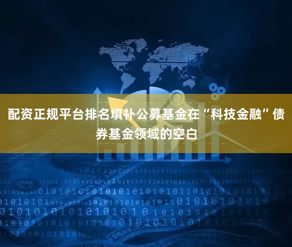配资正规平台排名填补公募基金在“科技金融”债券基金领域的空白