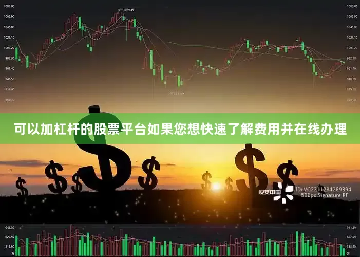 可以加杠杆的股票平台如果您想快速了解费用并在线办理