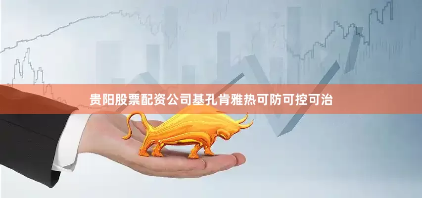 贵阳股票配资公司基孔肯雅热可防可控可治