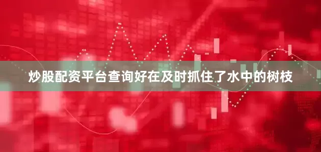 炒股配资平台查询好在及时抓住了水中的树枝